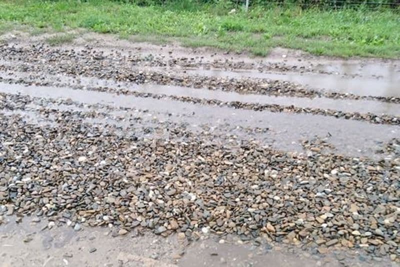 Primim la redacție – „Așteptăm să trimiteți un utilaj să îndrepte strada Oituz și apoi să puneți balastru!” - FOTO