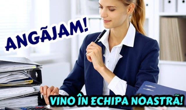 Asociația Apiconsult organizează concurs: Vrei să lucrezi cu profesioniști? Vino în echipa noastră!