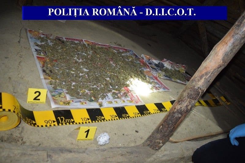 Un kilogram de cannabis, descoperit în urma unor percheziții în orașul Darabani - FOTO
