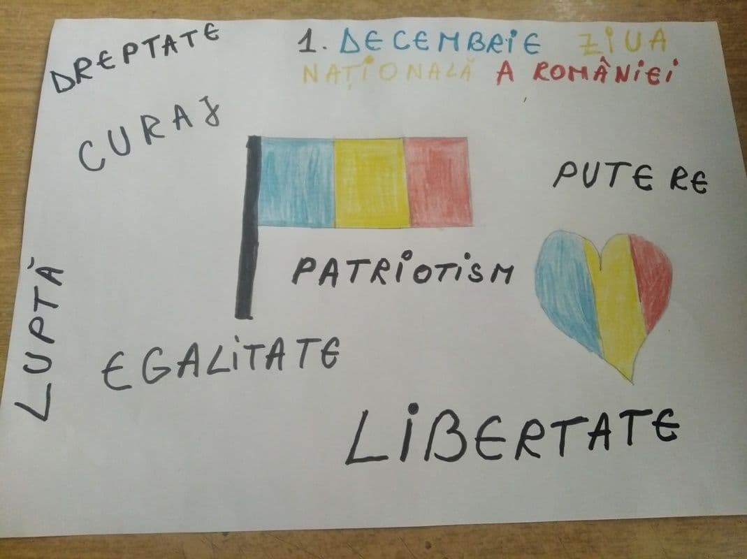 ROMÂNIE – COLȚ DE RAI, activitate desfășurată la Școlile Rădăuți-Prut, Păltiniș și Viișoara - FOTO