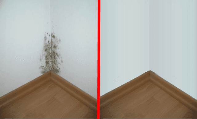 Simptome care îți spun că ești intoxicat cu mucegai