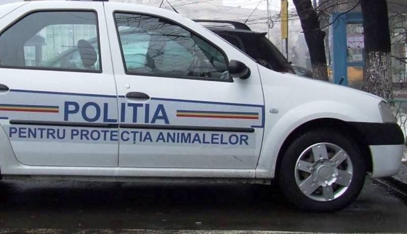 Poliția Animalelor face angajări! 264 de posturi scoase la concurs