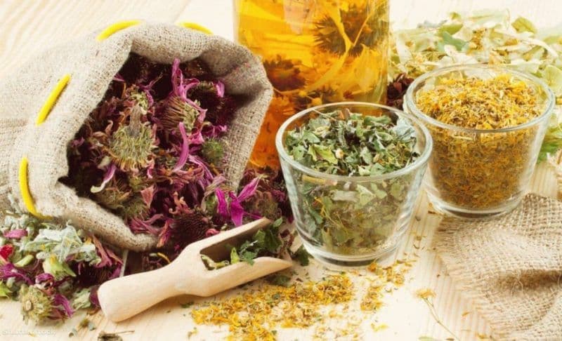 Trei plante care te ajută să-ţi reglezi tensiunea