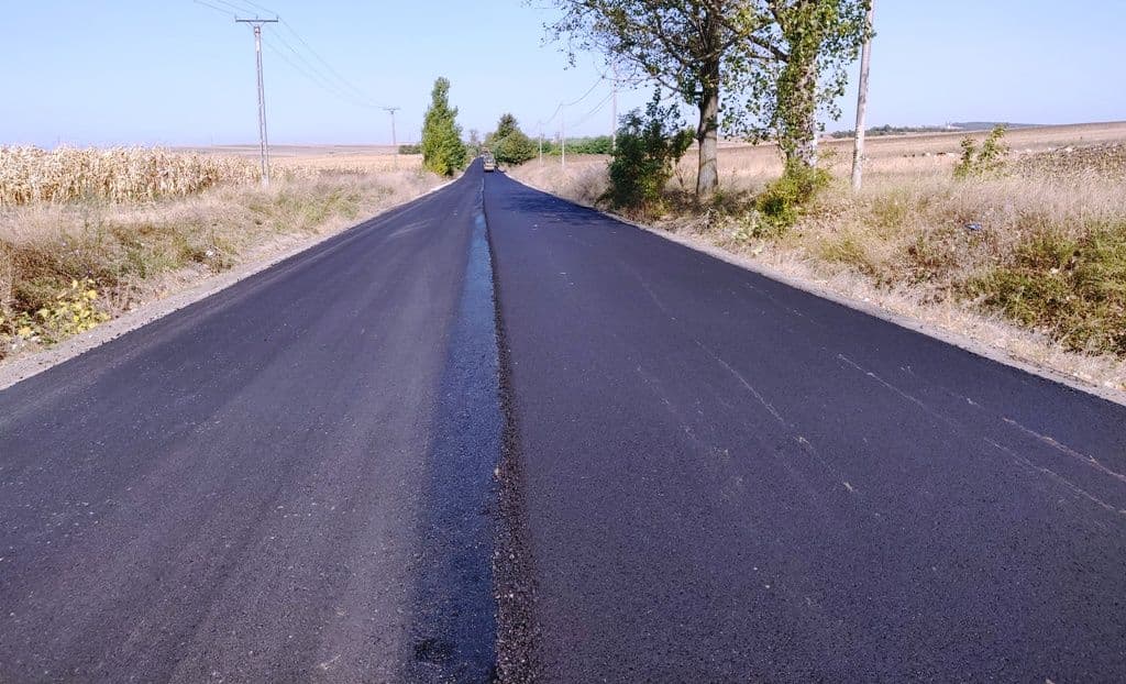 208 H Baisa - Corni_DUPĂ_4