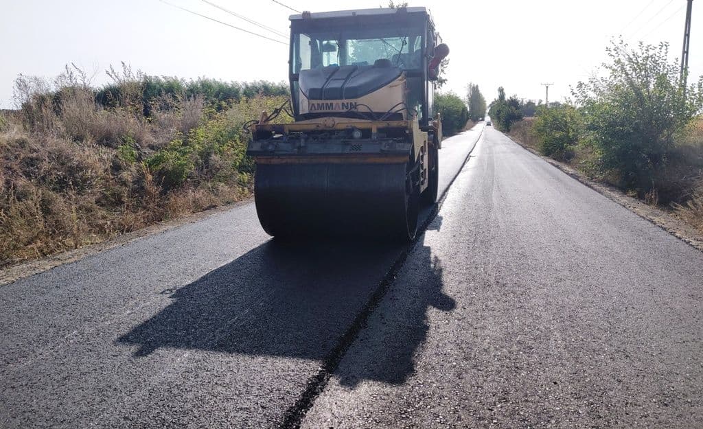 208 H Baisa - Corni_DUPĂ_5