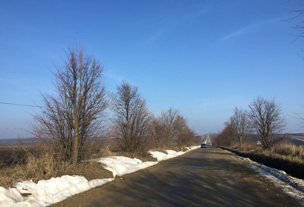Viisoara (4)