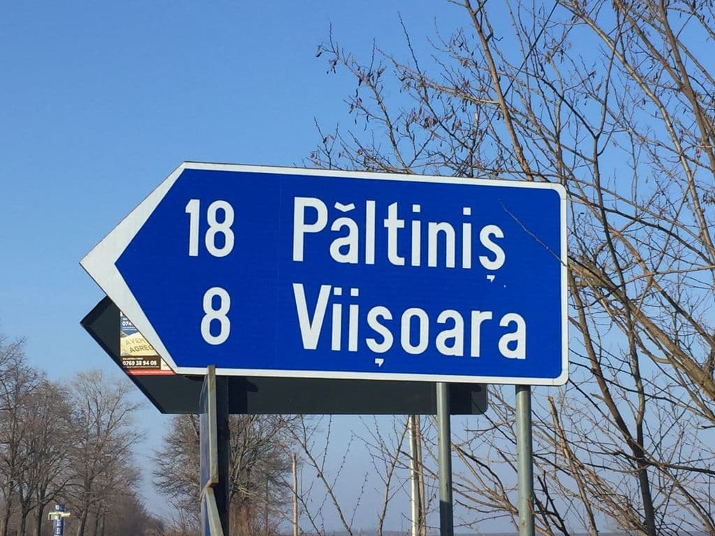 Viisoara (8)