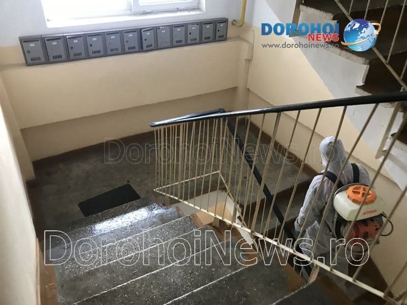 Dezinfectare scari de bloc_04