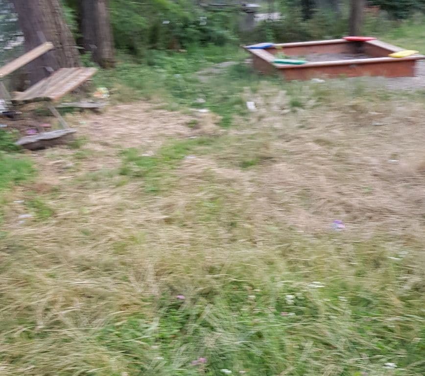 Parc Dorohoi (1)