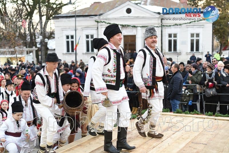Stejareanca 2019_02