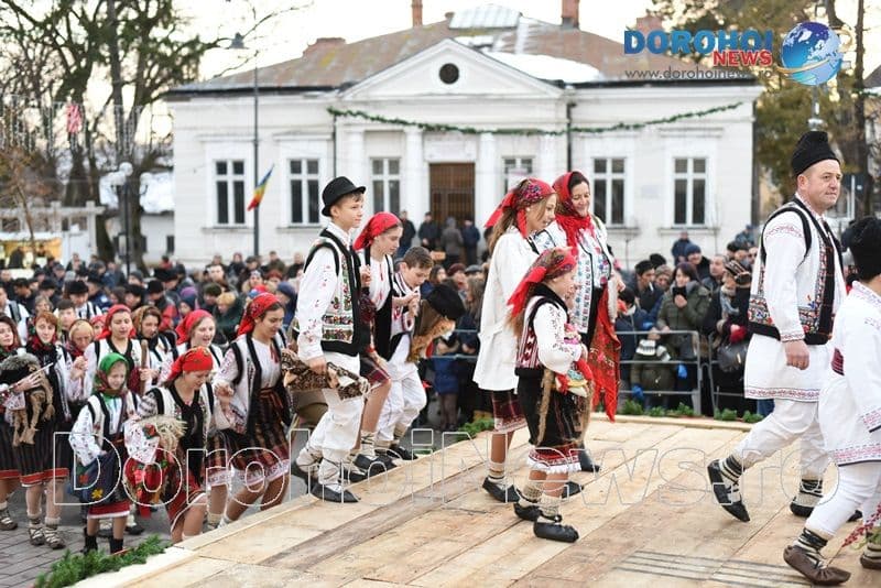 Stejareanca 2019_03