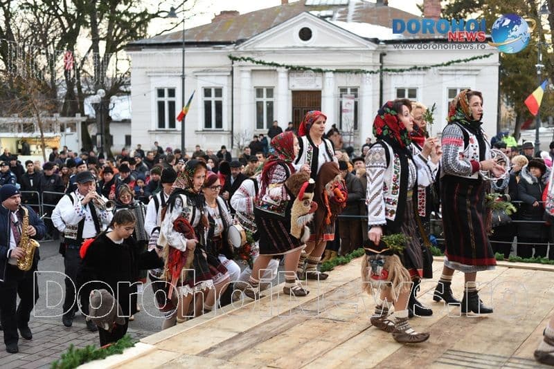 Stejareanca 2019_04