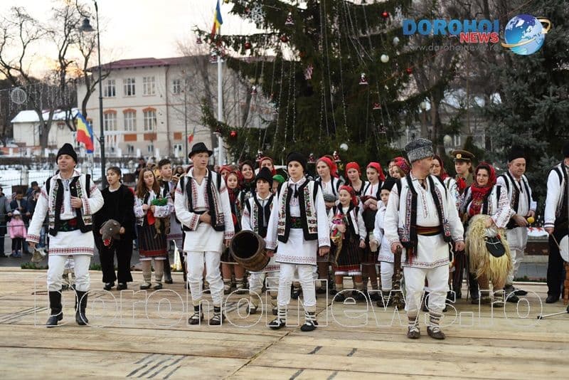 Stejareanca 2019_06