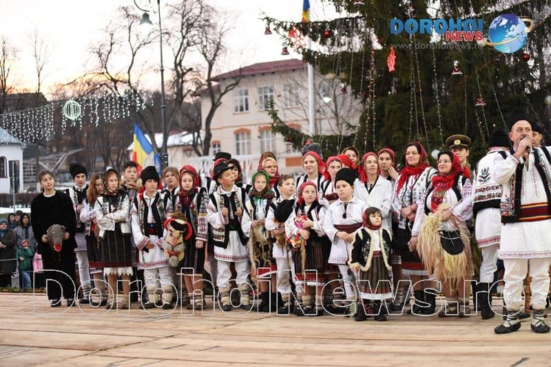 Stejareanca 2019_18