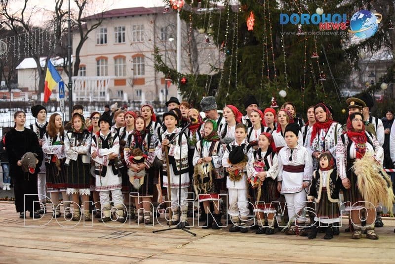Stejareanca 2019_19