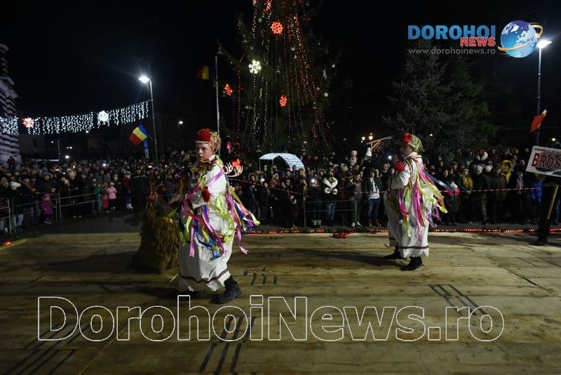 Broscauti 2019_12