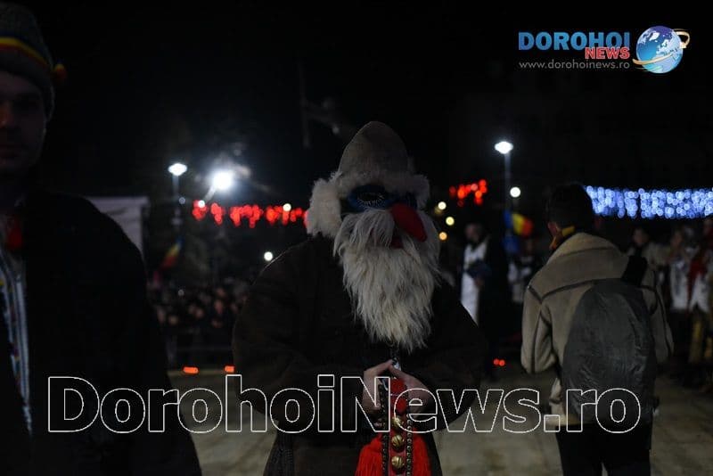 Satu Nou 2019_01