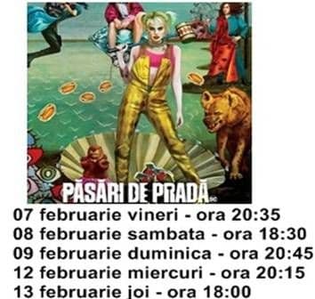 pasaride prada