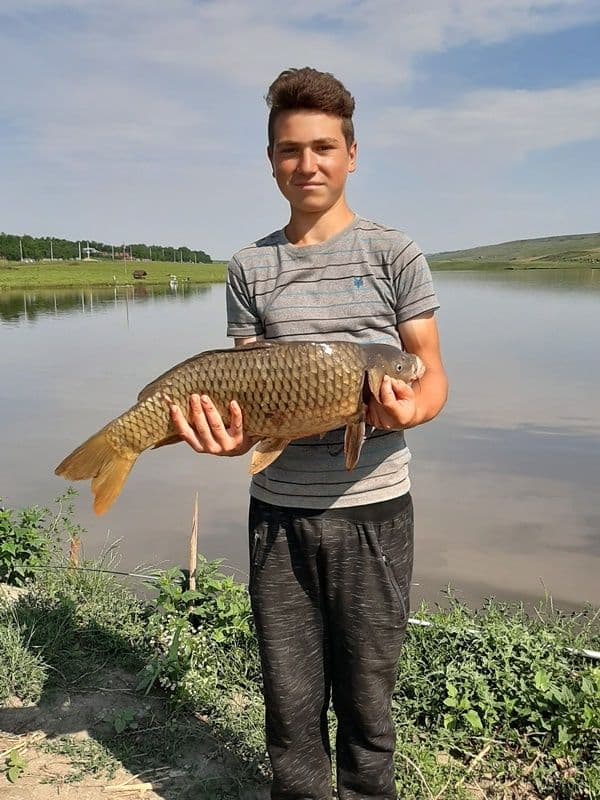 Iaz Corlateni_13