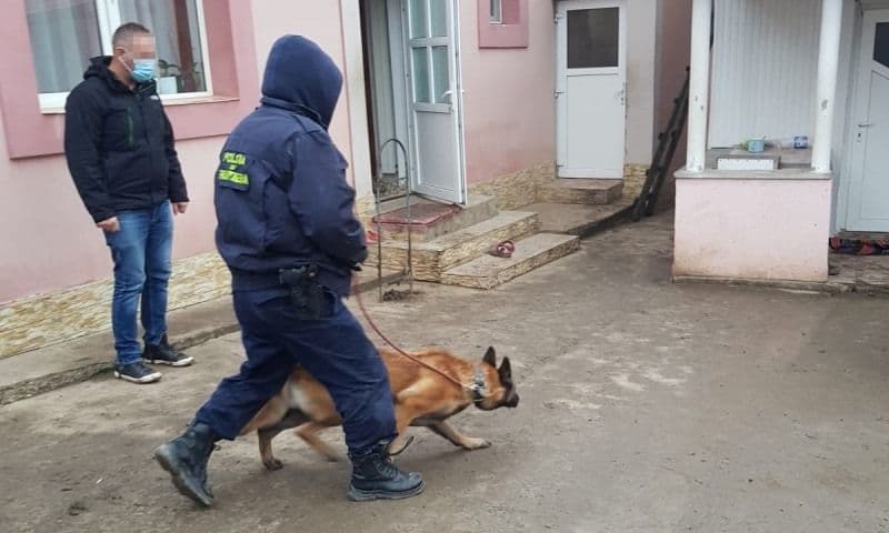 28 percheziţii domiciliare pe raza judeţului Botoşani2