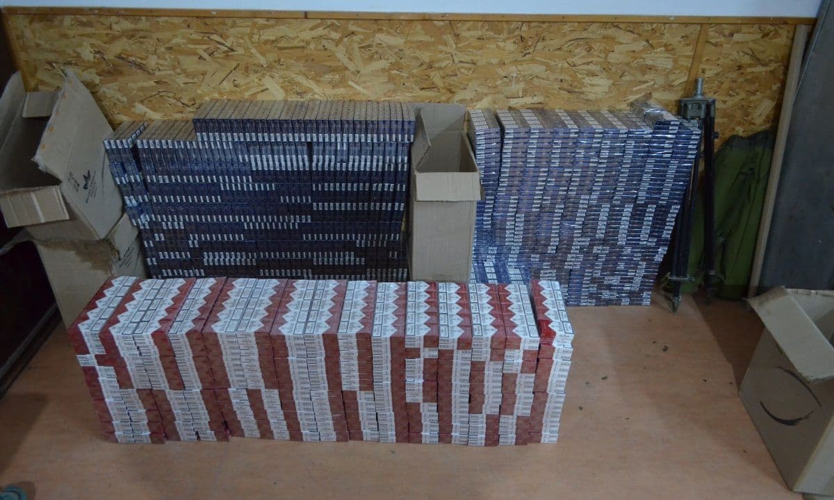f297bed7-380c-4c74-94ac-abdea38de003