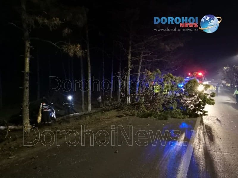 Accident intrare Dorohoi_04