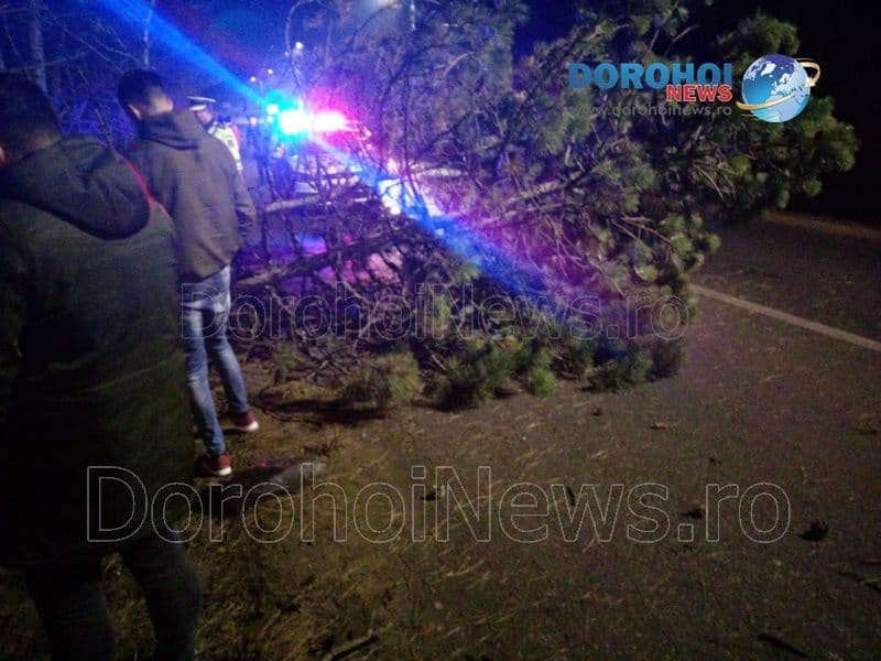Accident intrare Dorohoi_05