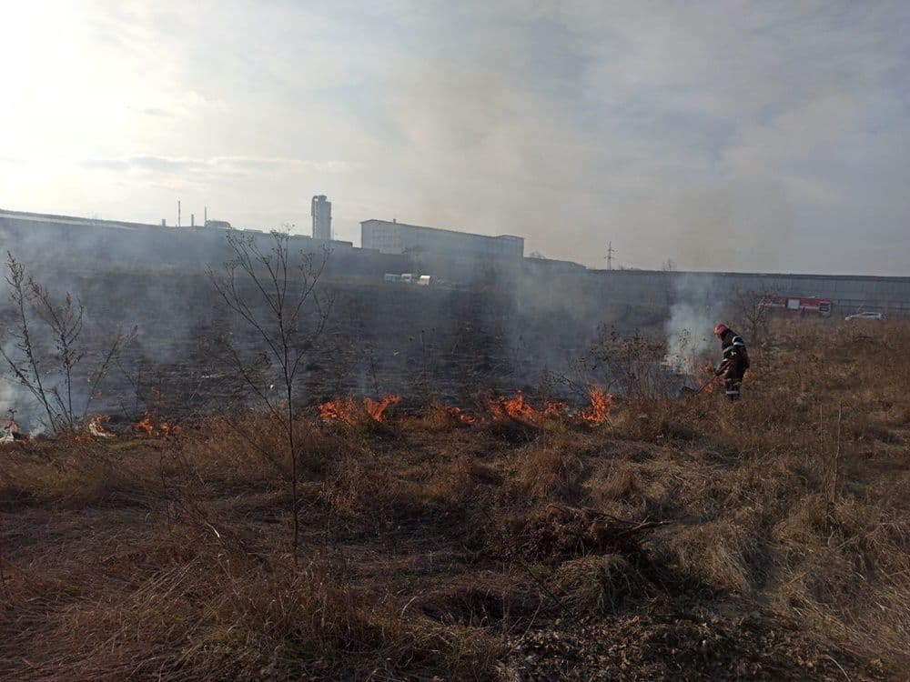 incendiu vegetatie 02