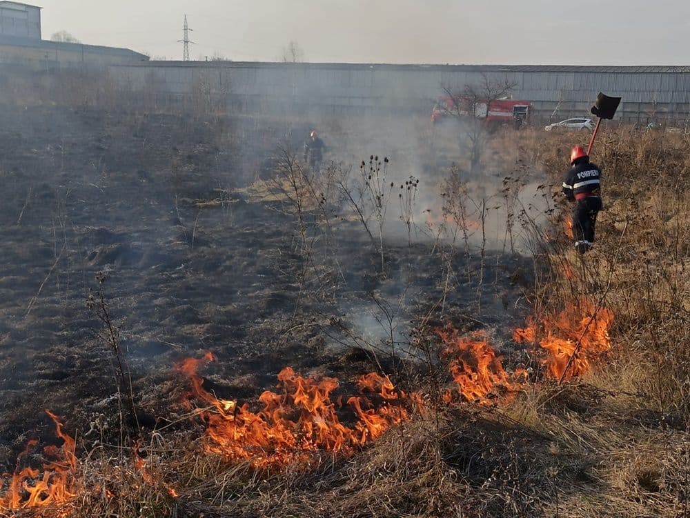 incendiu vegetatie 03