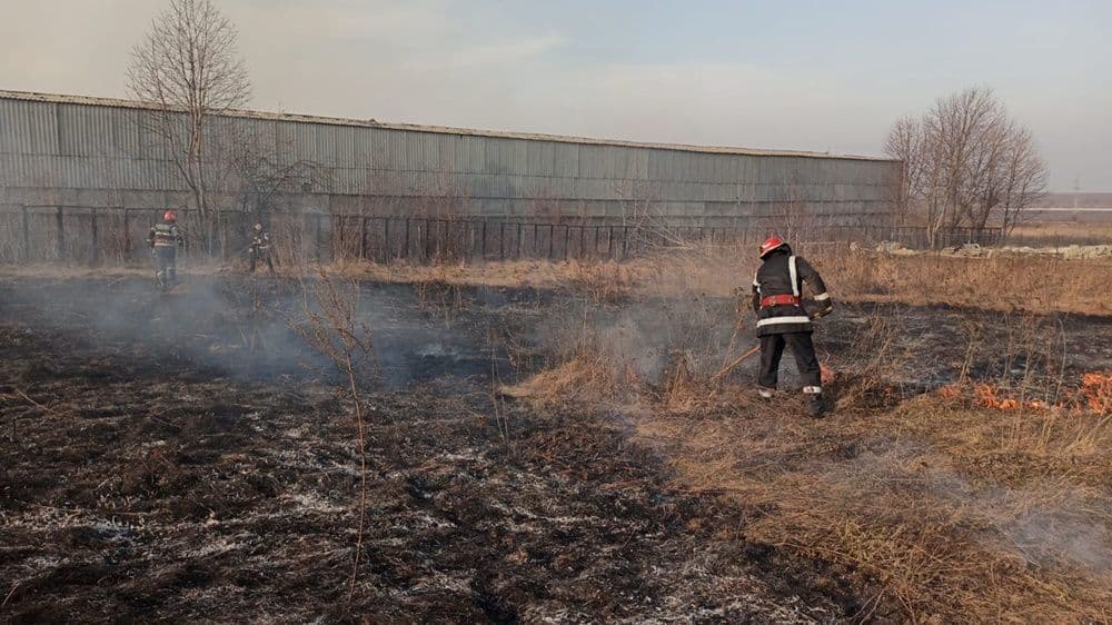 incendiu vegetatie 04