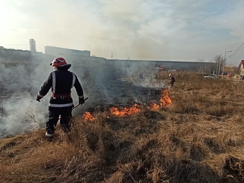 incendiu vegetatie 05
