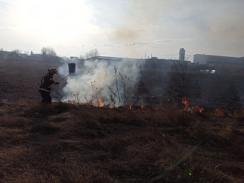 incendiu vegetatie 06