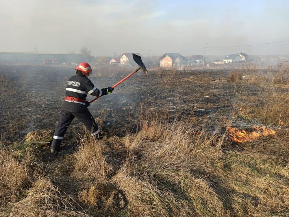 incendiu vegetatie 08