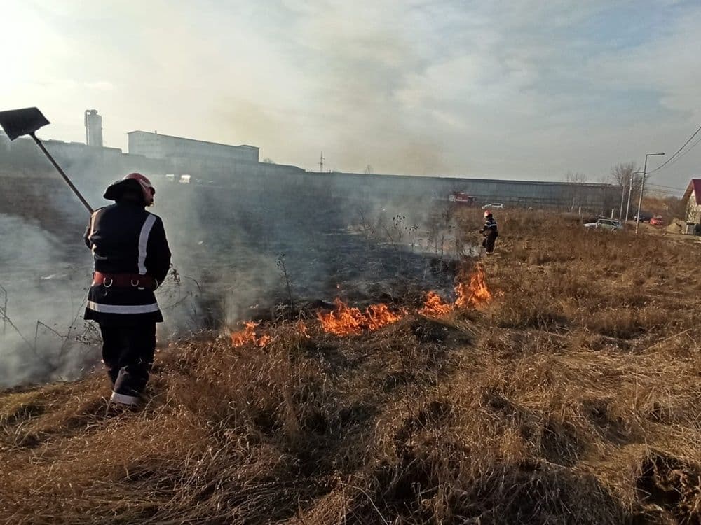 incendiu vegetatie 10