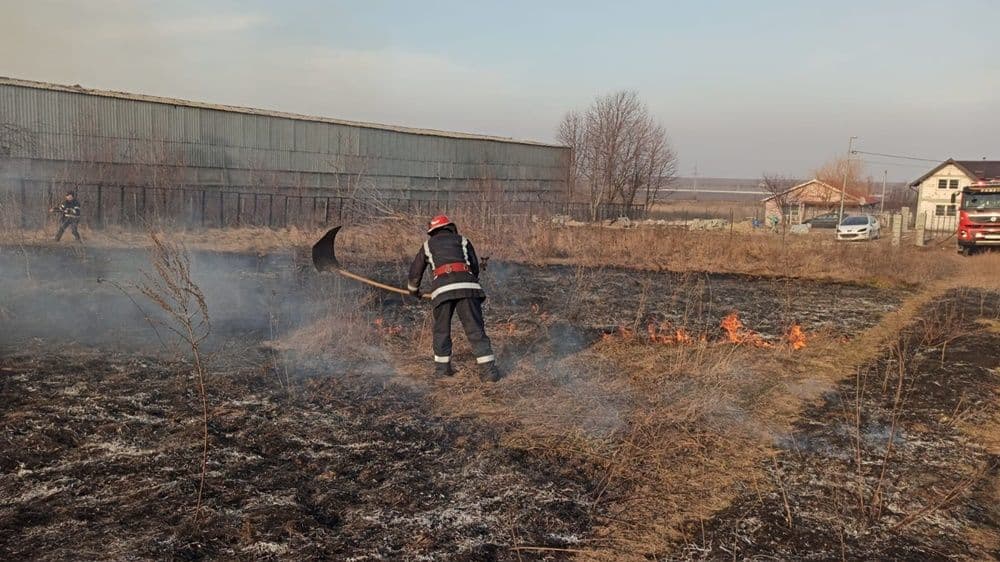 incendiu vegetatie 11