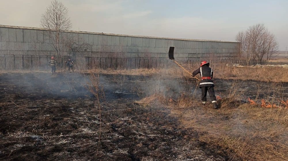 incendiu vegetatie 12