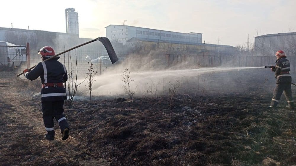 incendiu vegetatie 13