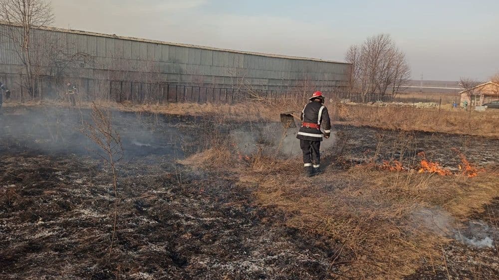 incendiu vegetatie 14