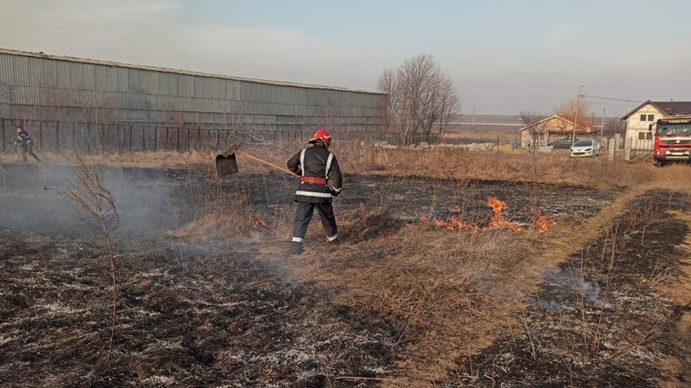 incendiu vegetatie 15