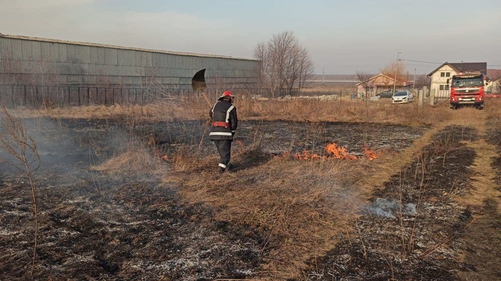 incendiu vegetatie 16