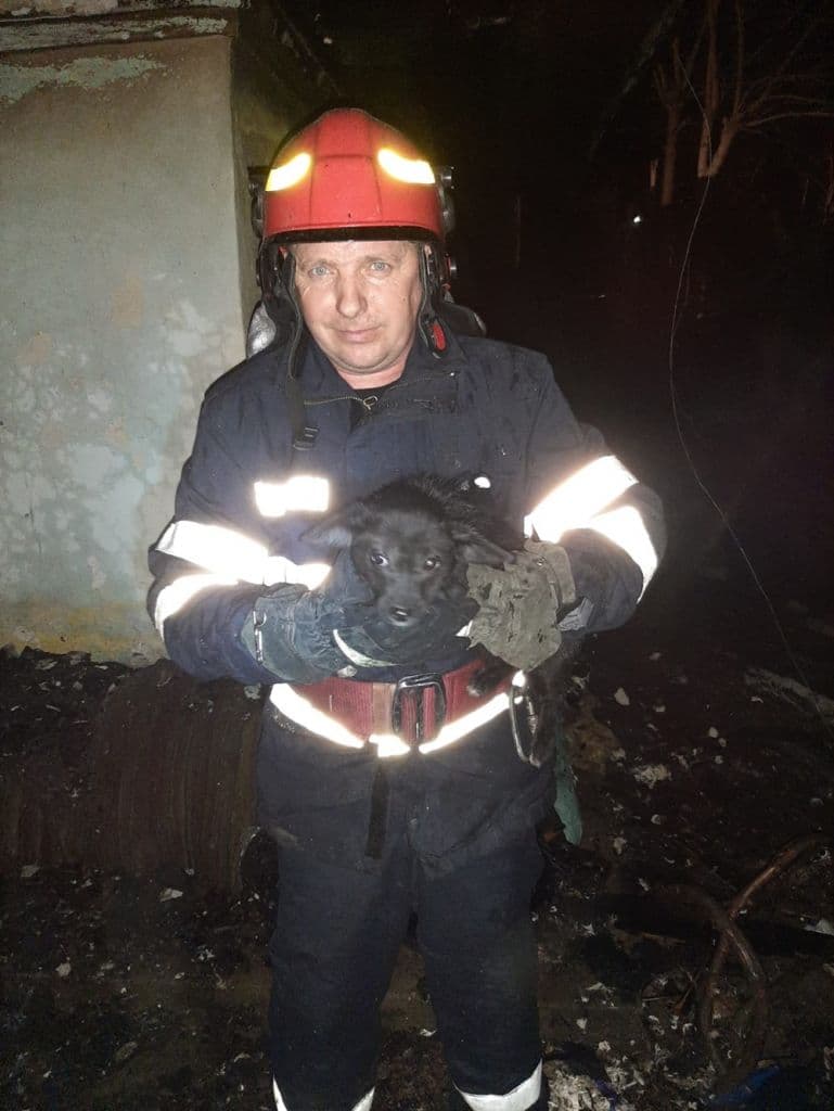 incendiu Teioasa 11