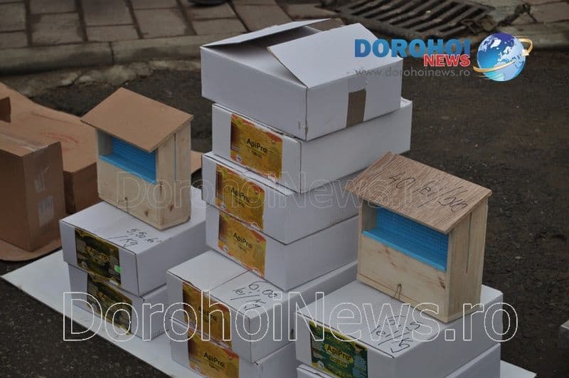 Targul Apicol la Dorohoi_16