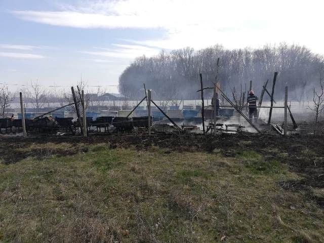 Incendiu stupi_1