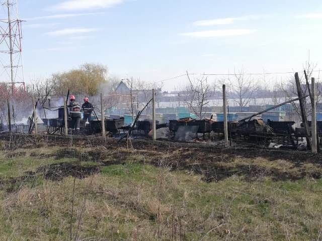 Incendiu stupi_2