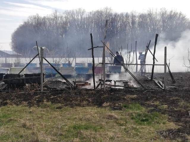 Incendiu stupi_4