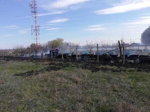 Incendiu stupi_5