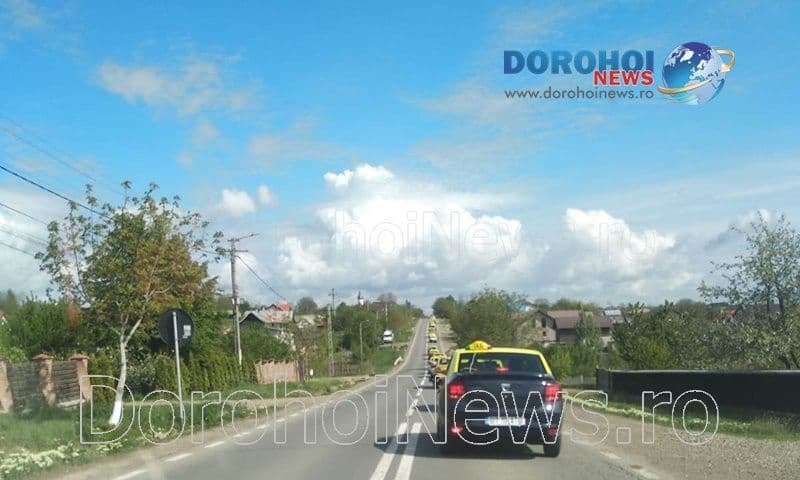 Taximetrist Dorohoi_11
