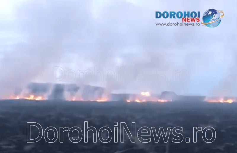 Incendiu vegetatie_01