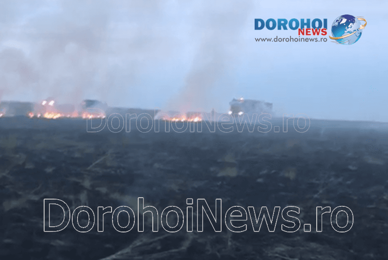 Incendiu vegetatie_02