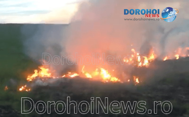 Incendiu vegetatie_05
